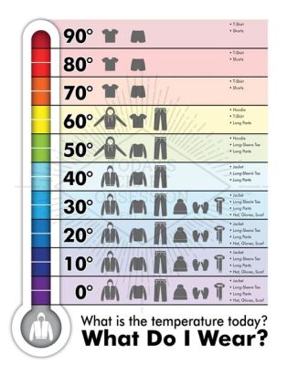 Is 50 Degrees Shorts Weather: A Complex Perspective